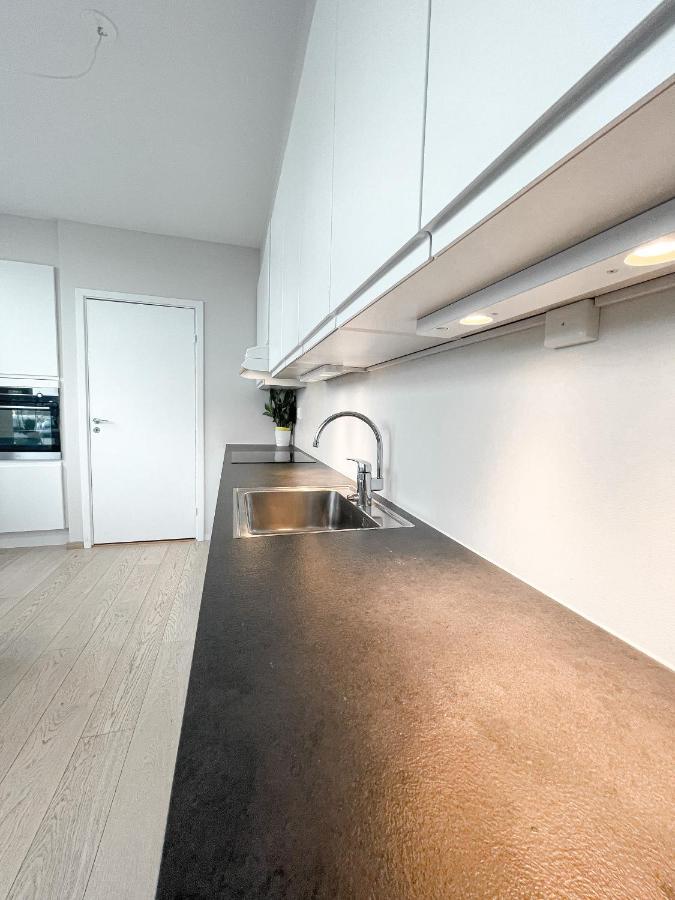 City Center Penthouse Apartment Oslo Dış mekan fotoğraf