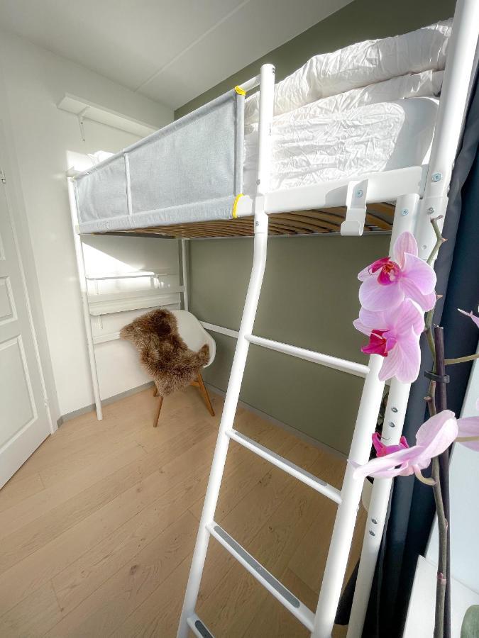 City Center Penthouse Apartment Oslo Dış mekan fotoğraf